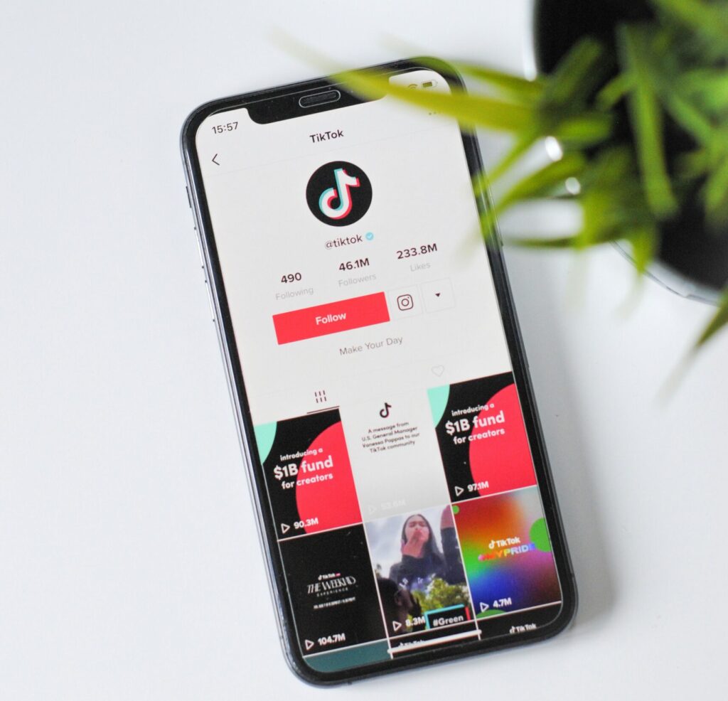 Bird's eye perspective of an iphone with the Tiktok's Tiktok homepage open. A green fern-like plant is on the table beside the phone.