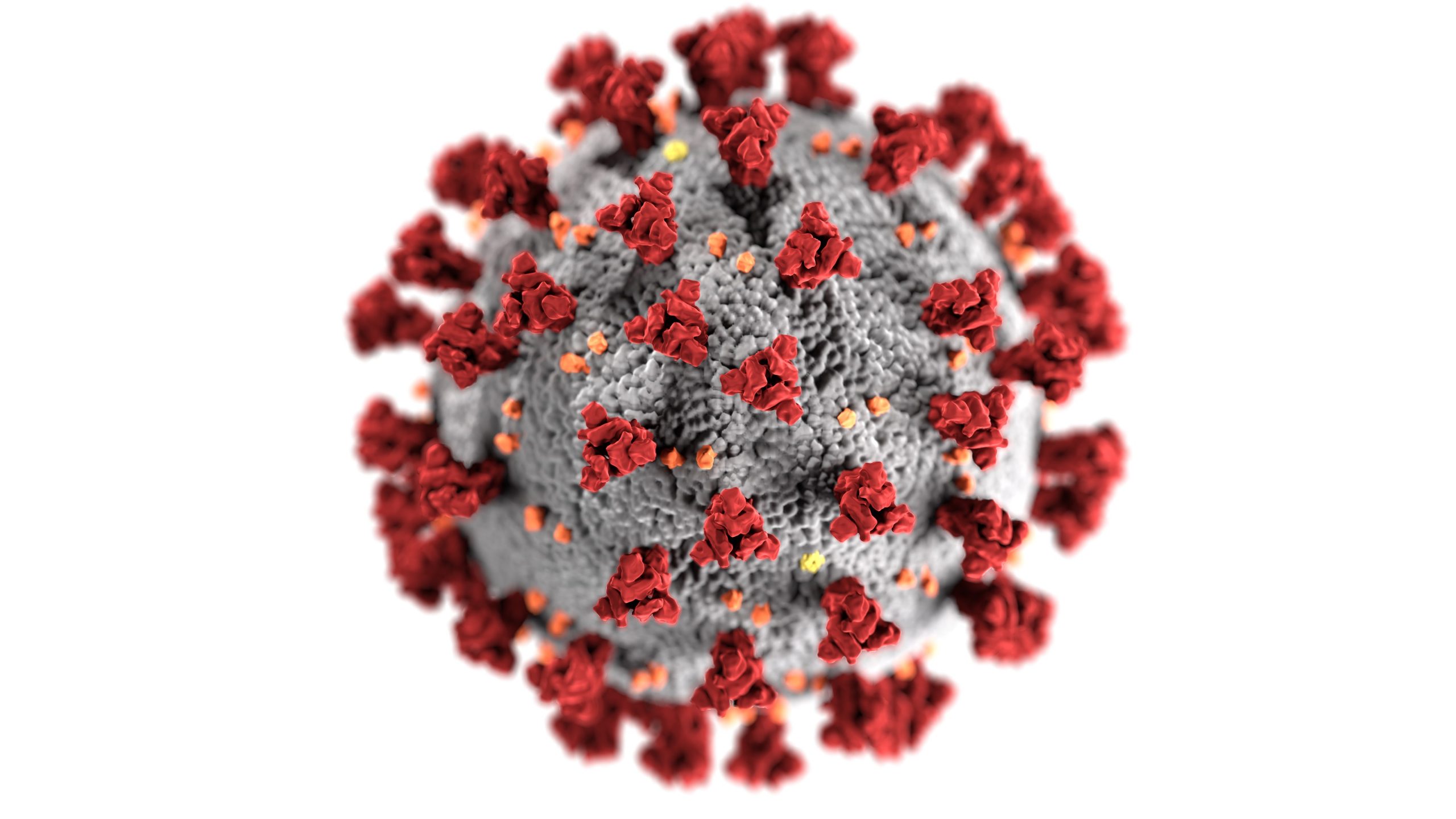 Tips to Boost PPC During the Coronavirus Pandemic
